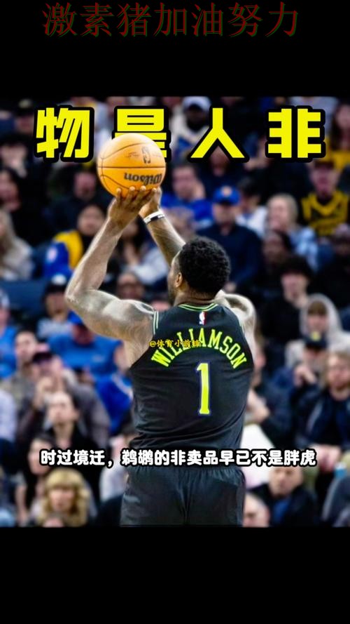 鹈鹕关键战失利让外界看法再次改变